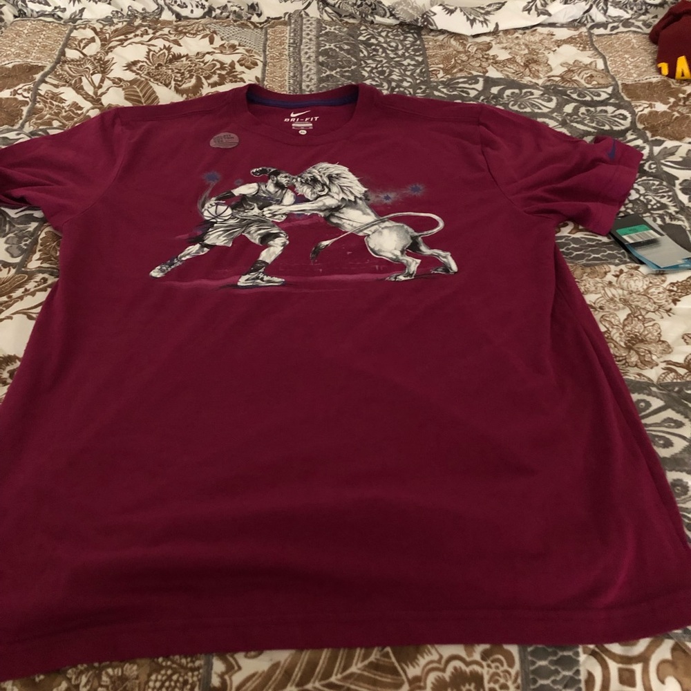 Nike Dri-Fit Lebron James vs. The Lion T-shirt